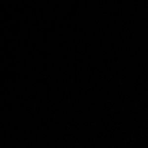 Meet your Posher, Curtis